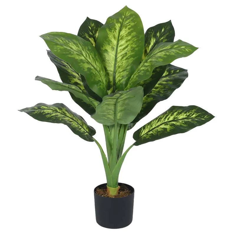 Faux Lush Dieffenbachia Plant With Black Plastic Pot - 3.0 Feet media 4