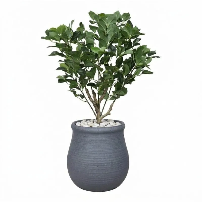 Grey floor planter with a leafy tree shown against a white background