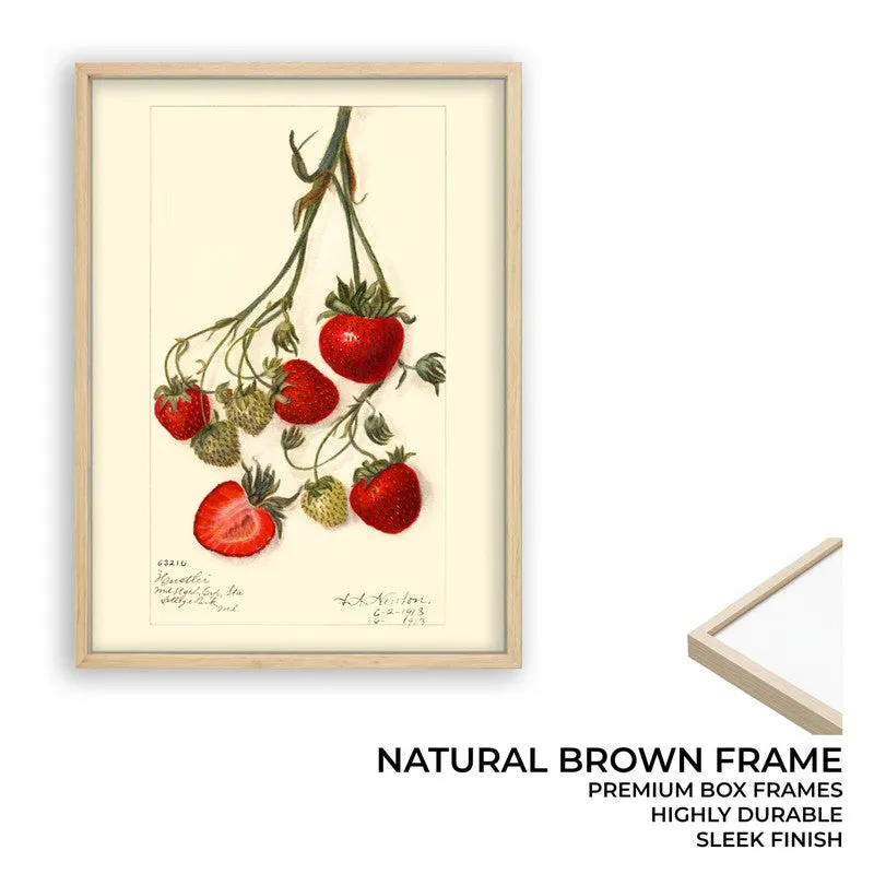 Sweet Citrus Archival Canvas Wall Art - Brown media 9