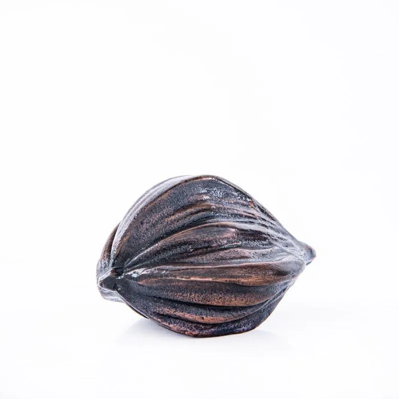 Shell Shug Showpiece media 4