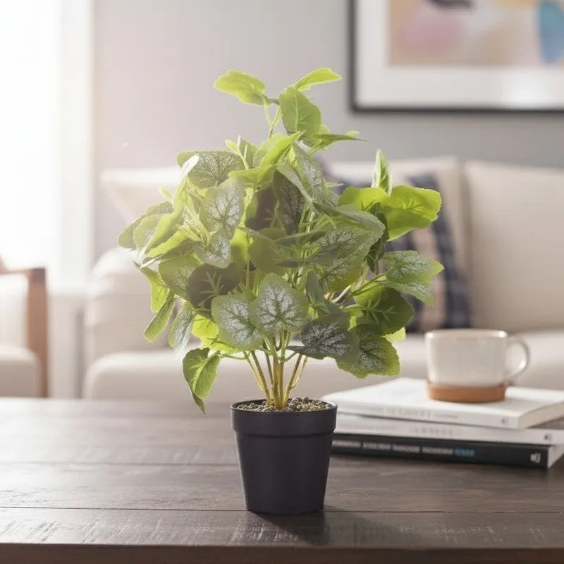 Artificial Frosted Grape Ivy Leaf Plant With Black Fiber Pot - 1 Feet media 5