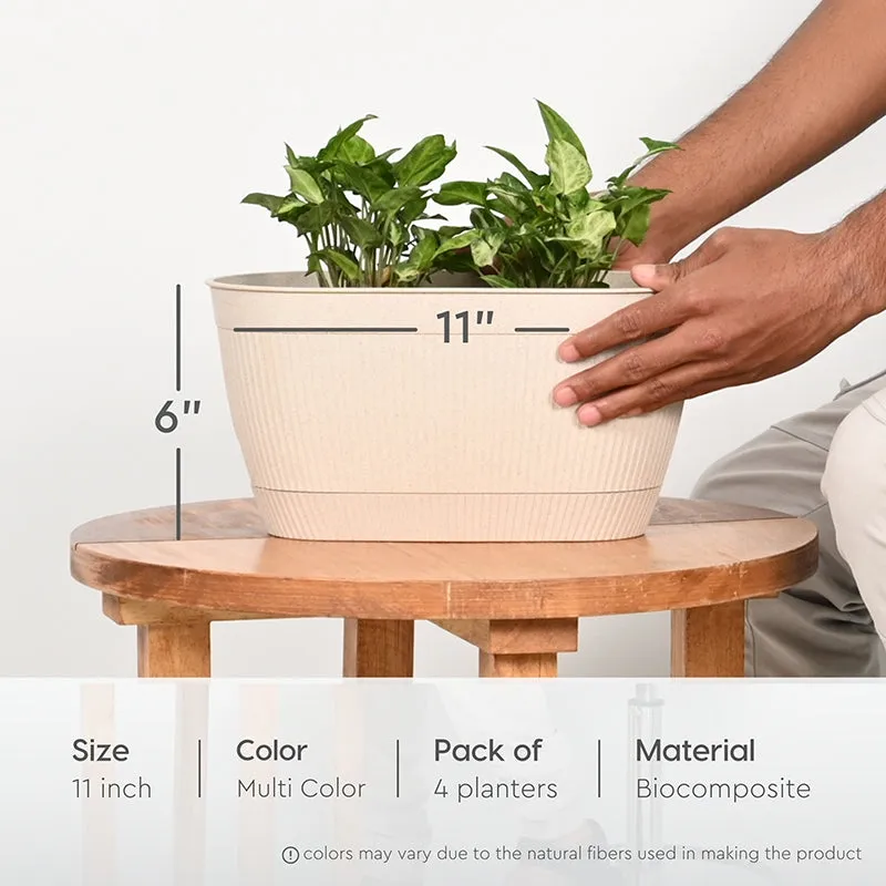Gather Grove Self-Watering Planter - Set Of Four media 7