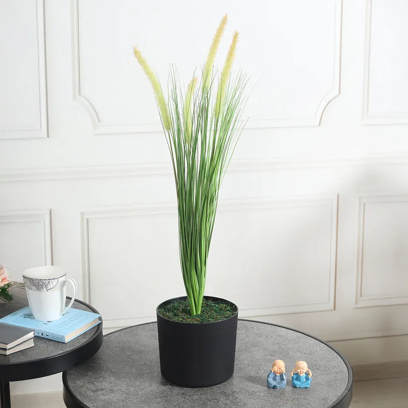 Everleaf Grove Artificial Plant With Black Plastic Pot media 3