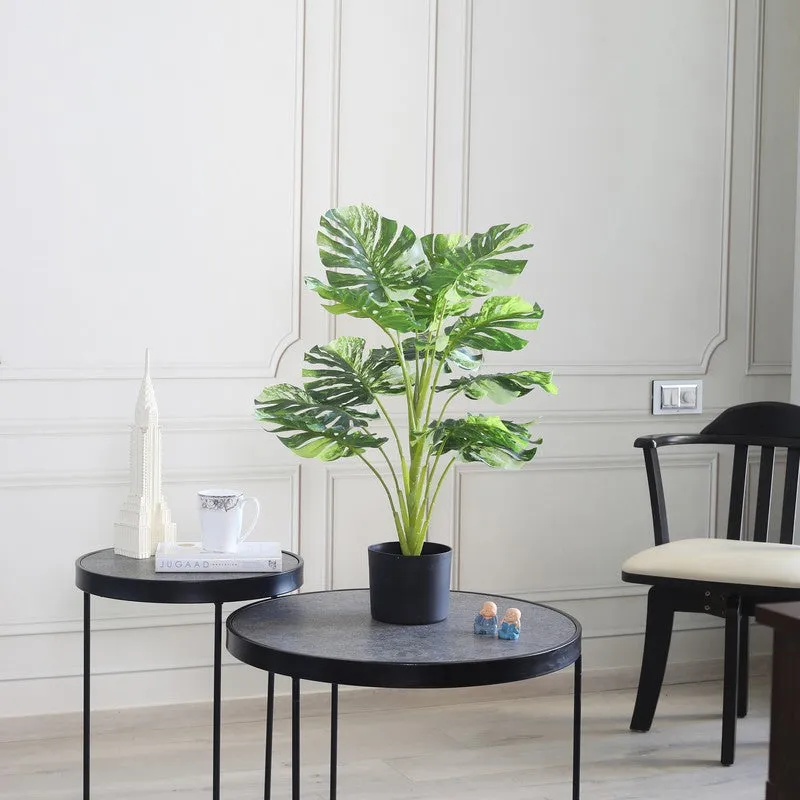 LeafScape Artificial Plant With Black Plastic Pot - 2.5 ft media 4