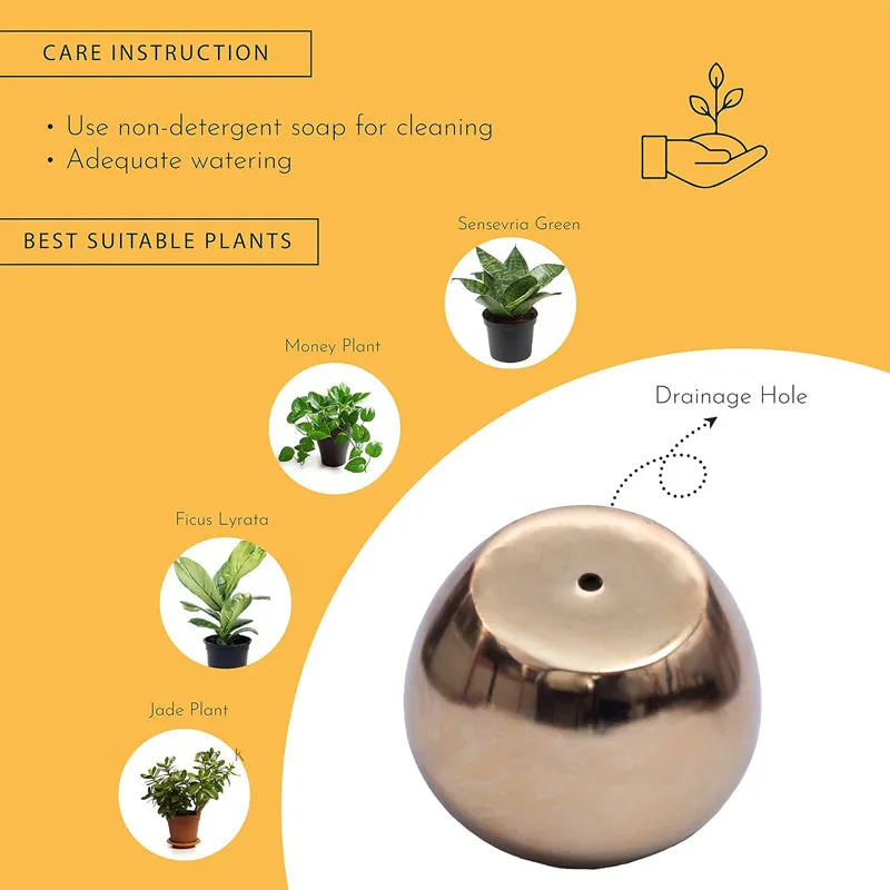 Kyari Stoma Aurum Metal Planter With Stand media 5