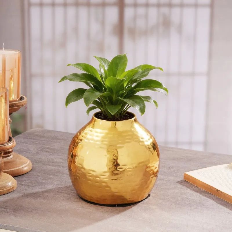 Sculptural Metal Vase -Gold media 10