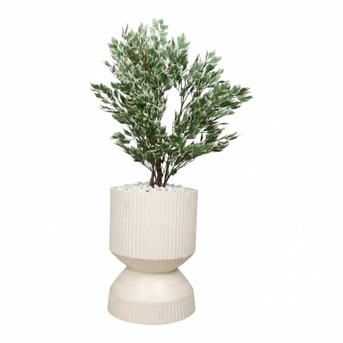 Off-white planter with a leafy plant shown against a plain white background.