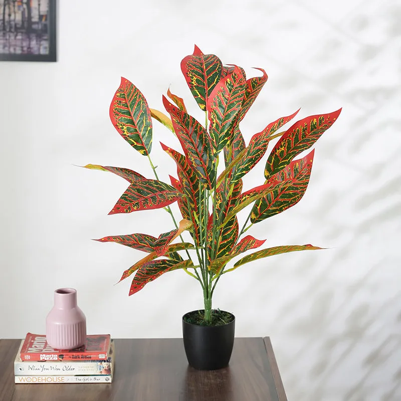 Faux Mammy Croton Plant With Black Plastic Pot - 2.2 Feet media 3