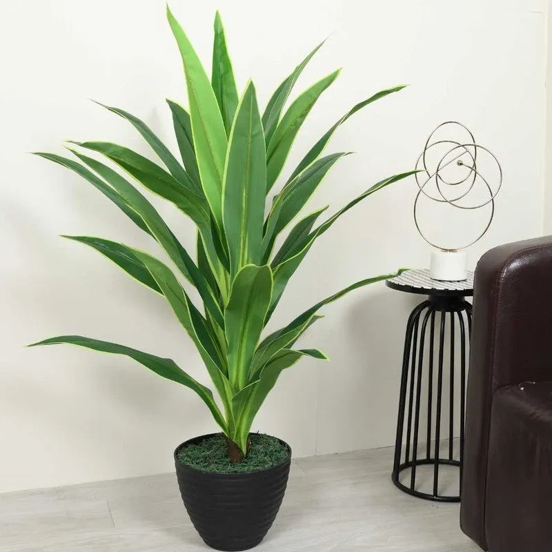 Faux Lush Dracaena Reflexa Plant With Black Fiber Pot - 3.6 Feet media 3