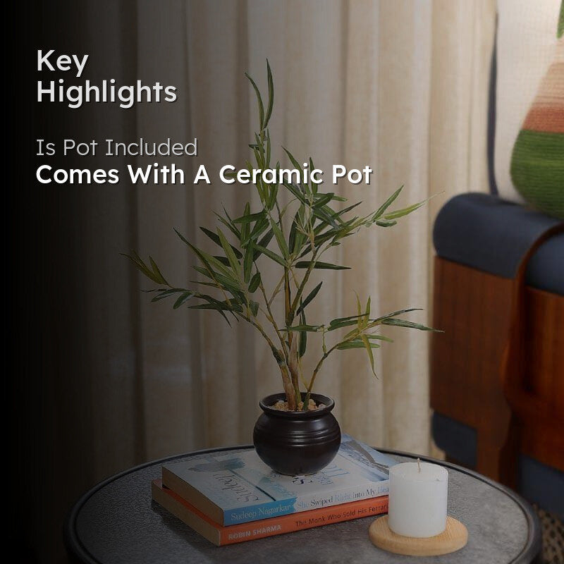 Faux Bamboo Bonsai In Ceramic Pot - 30 cms media 2