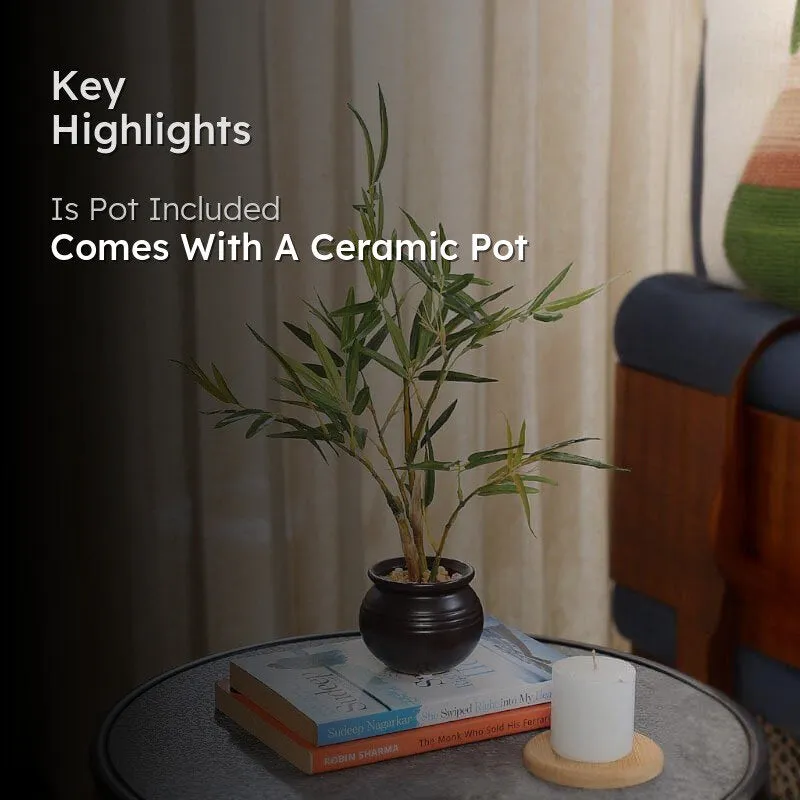 Faux Bamboo Bonsai In Ceramic Pot - 30 cms media 2