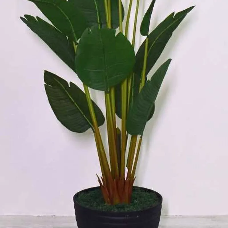 Artificial Travellers Palm Plant Without Pot - 5.9 Feet media 4