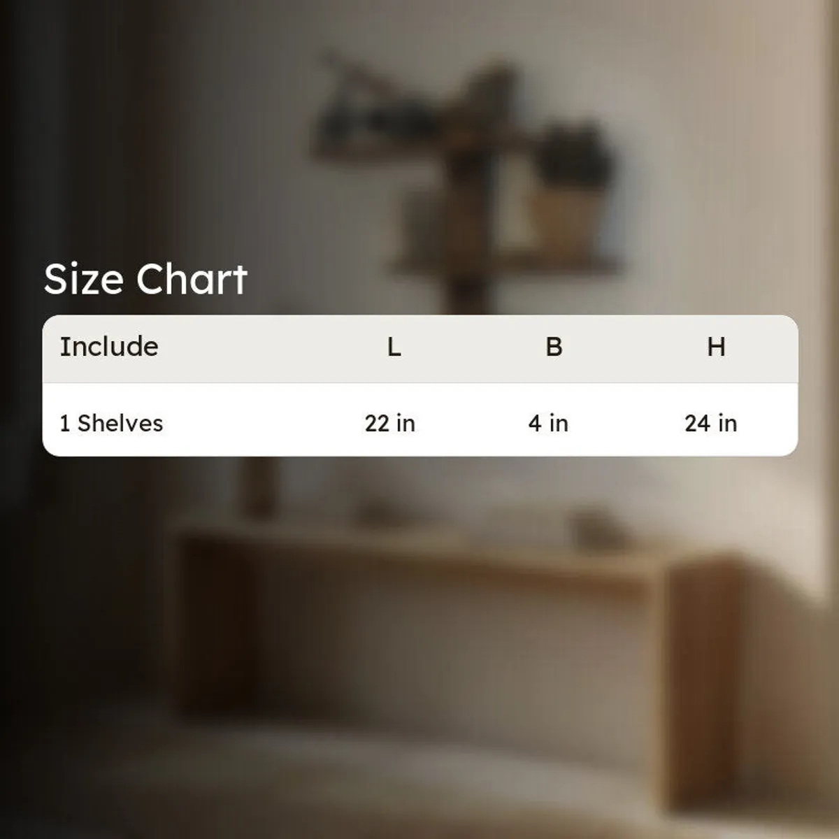Size chart showing the shelf measures 22 by 4 by 24 inches.