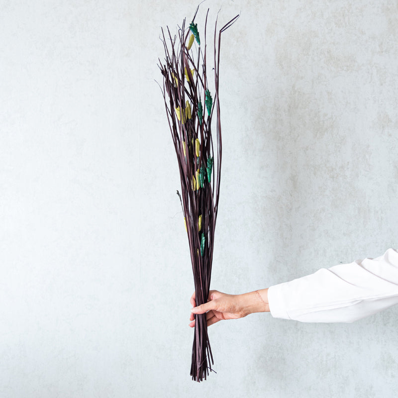 Delfrin Dried Stem