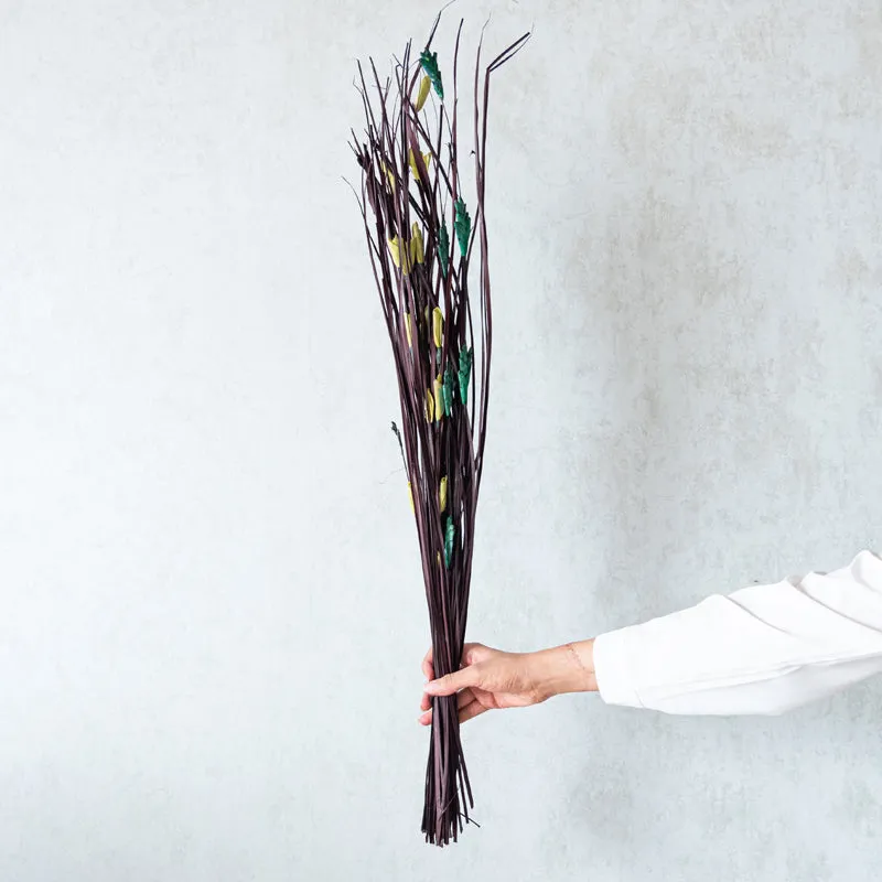 Delfrin Dried Stem media 1