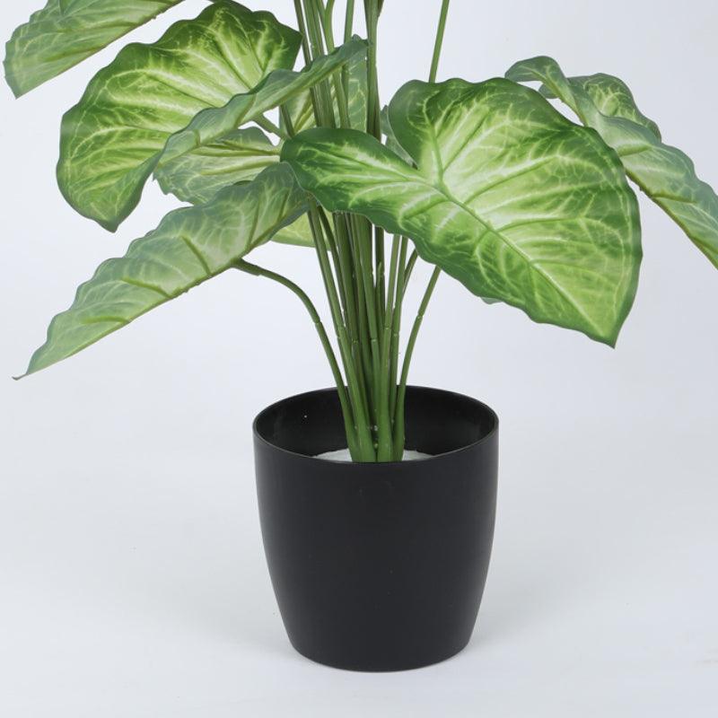Faux Tropica Dumb Cane Plant With Black Plastic Pot - 2.13 ft media 6