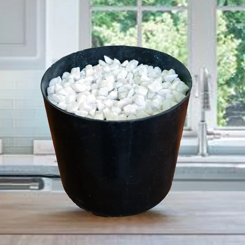 Botanika Artificial Money Plant I With Black Plastic Pot & pebbles - 2 Feet media 5