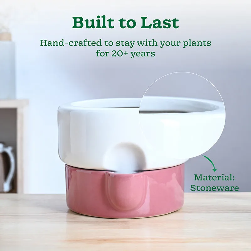 Ugaoo Lady Leafington Ceramic Planter - White & Pink media 3