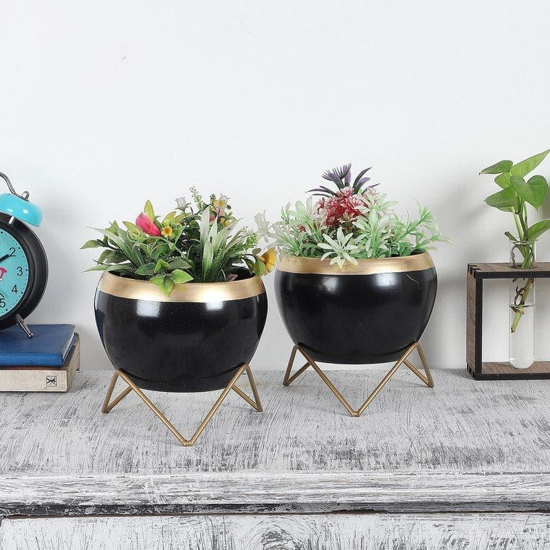 Apple Dun Planter (Black) - Set Of Two media 3