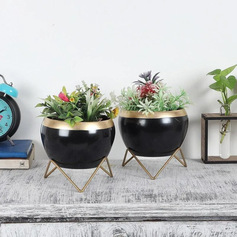 Apple Dun Planter (Black) - Set Of Two media 3
