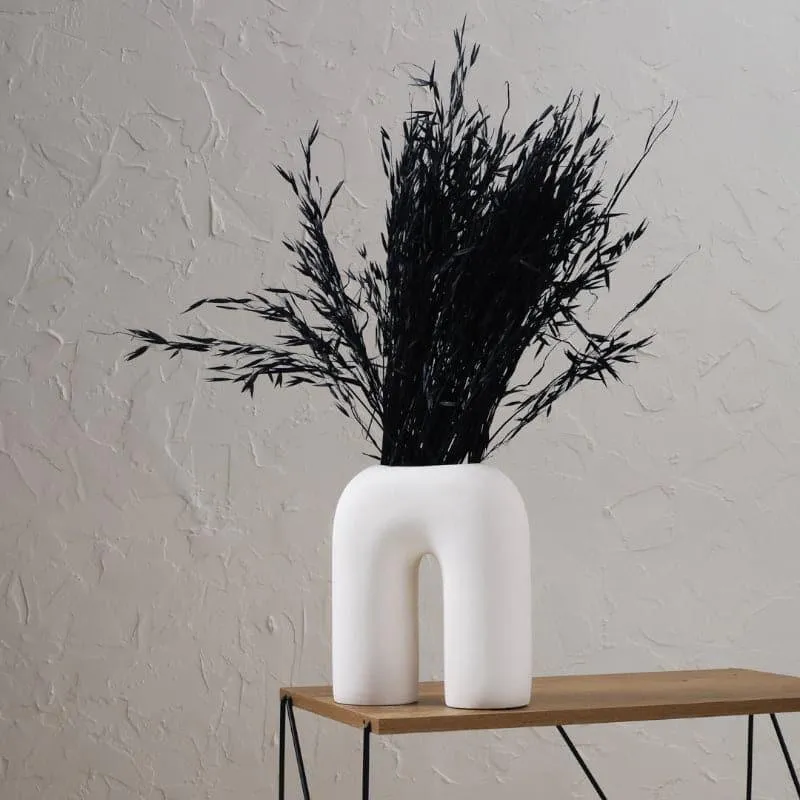 Hazo Millet Grass Dried Havana Grass Bunch - Black media 3