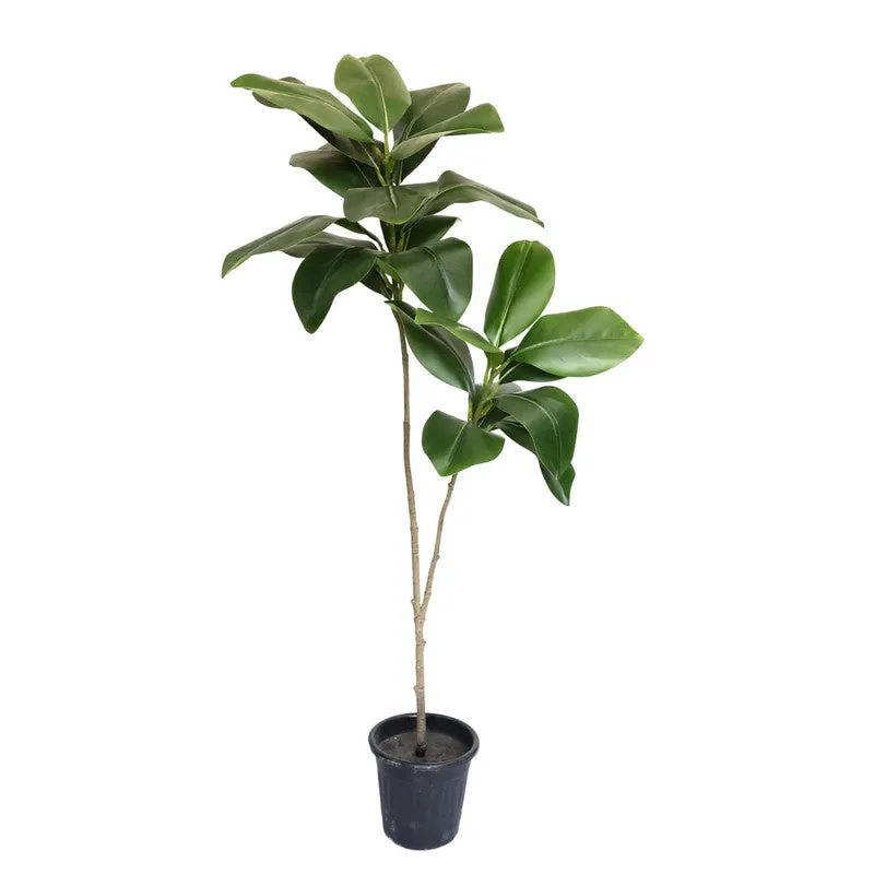 Bloomora Artificial Fiddle Fig Plant With Black Plastic Pot media 2