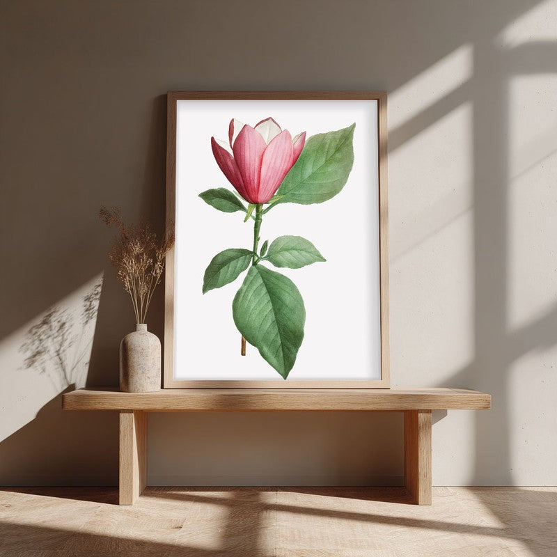Padma Palette Archival Paper Wall Art - Natural Brown Frame