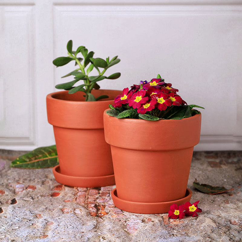 Rusticana Terracotta Planter - Set Of Two media 2