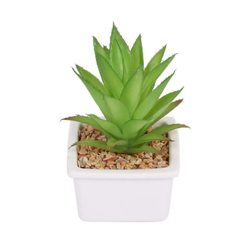Faux Agave In White Pot - 14.5 cms media 3