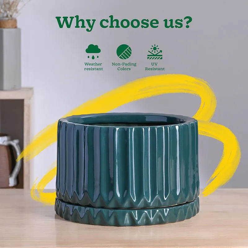 Ugaoo Stria Ceramic Planter - Green media 7