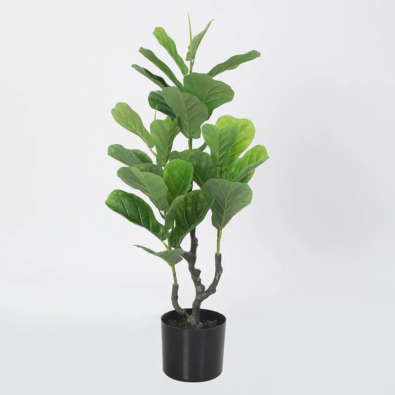 Faux Fiddle Fig Plant With Black Plastic Pot - 2.9 Feet media 4