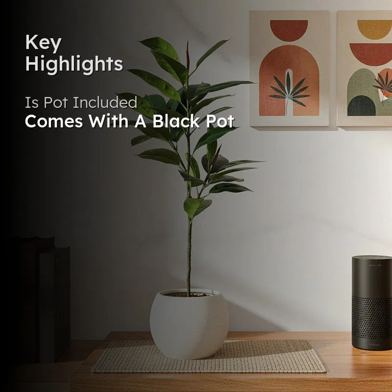 Leafessa Artificial Fiddle Fig Plant With Black Plastic Pot - 3.1 Feet media 2