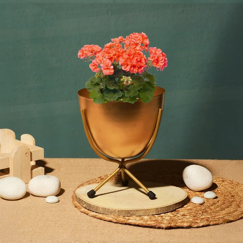 Verdant Haven Metal Planter with Stand - Gold media 3