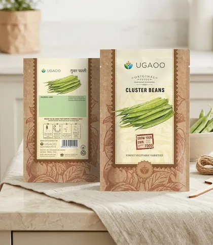 Seeds