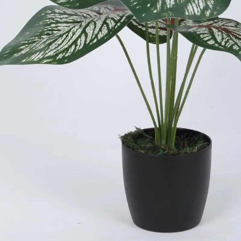 Faux Deco Aglonema Silk Plant With Black Plastic Pot - 55 cms media 3