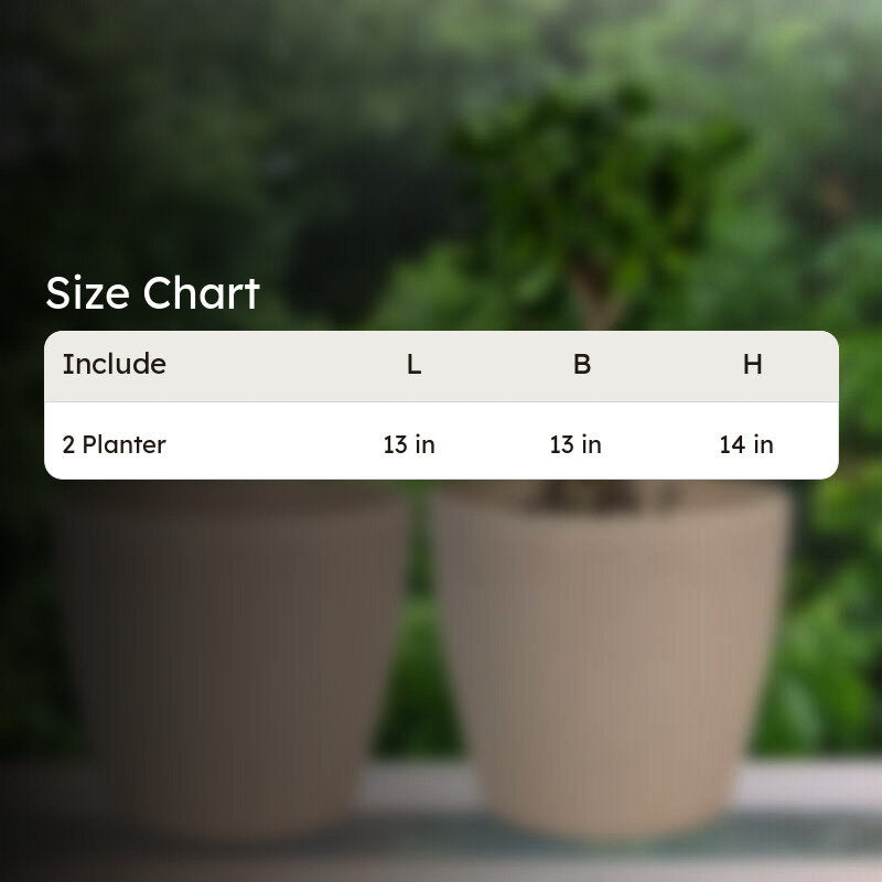 Natura Niche Self-Watering Planter - Set Of Two image 7
