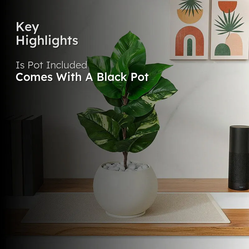 Faux Everlasting Dieffenbachia Plant With Black Plastic Pot - 58 cm - 2