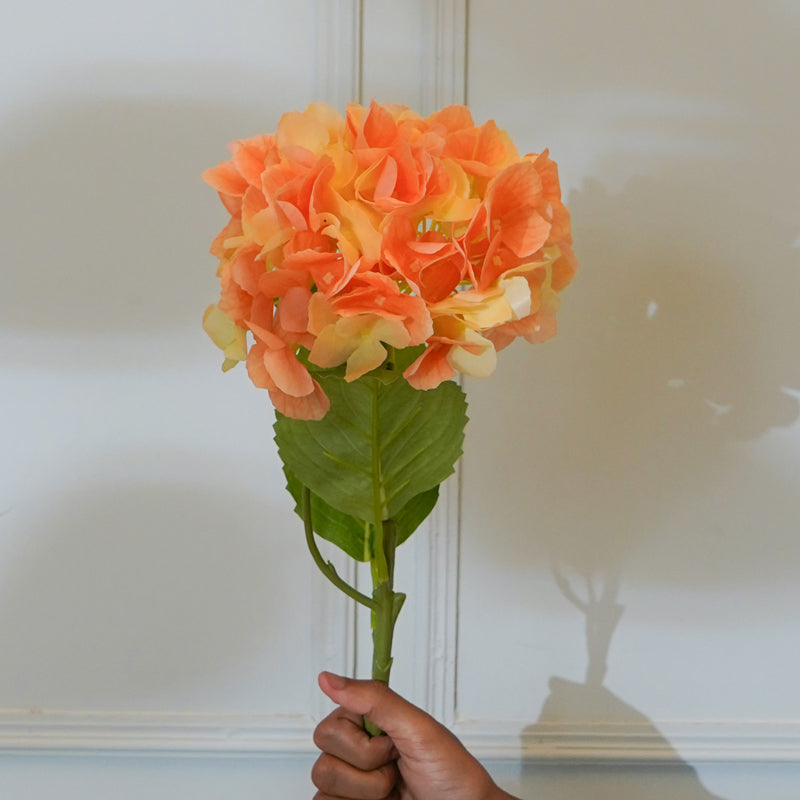Faux Mountain Hydrangea (Orange) - 21 CM media 3
