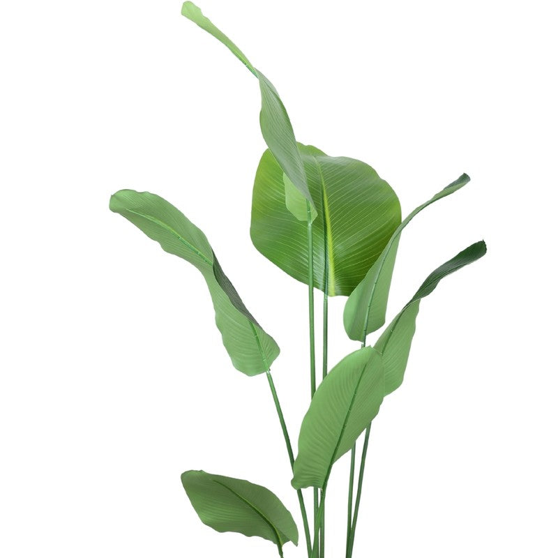 Artificial Calathea Plant With Black Fiber Pot - 5.2 Feet media 4