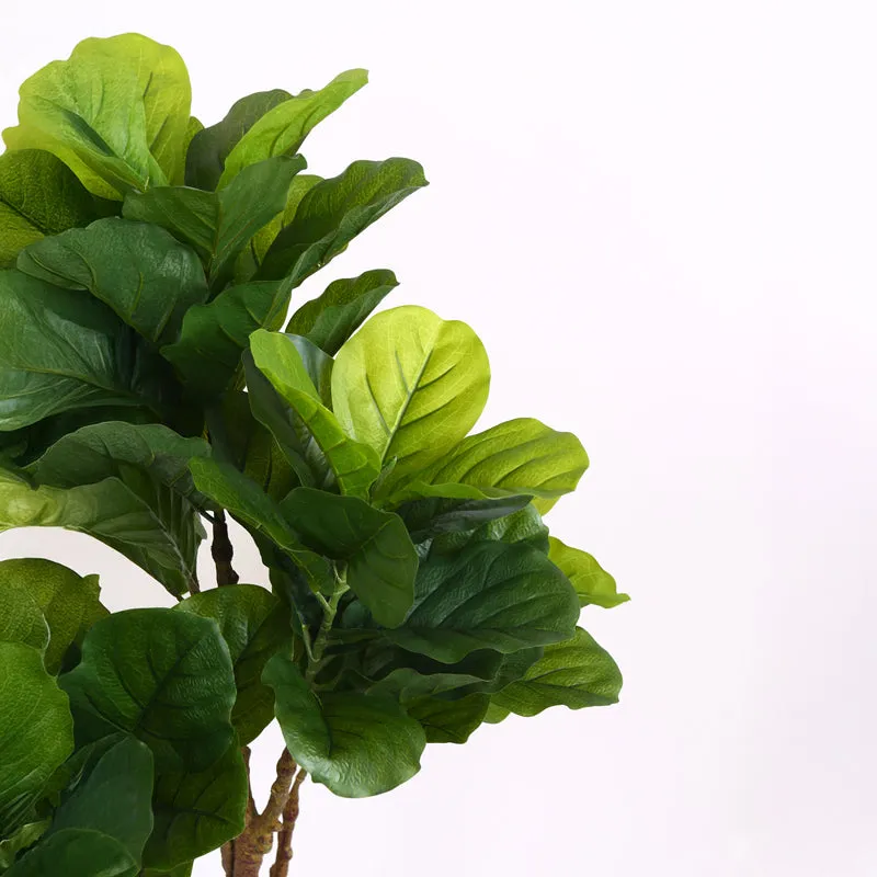 Verdiq Artificial Fiddle Fig With Black Plastic Pot - 4 Feet media 5