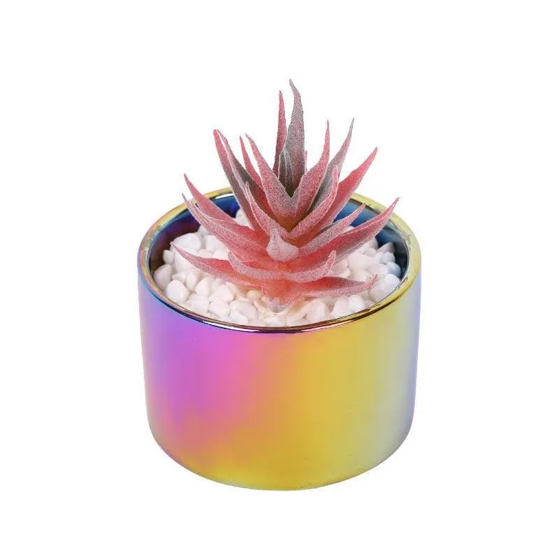 Faux Succulent In Ombre Pot - 11 cms media 3
