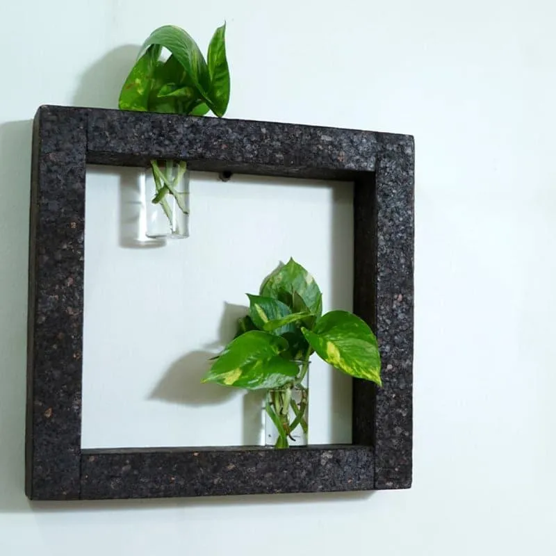 Framo Cork Testube Planter - Black media 1