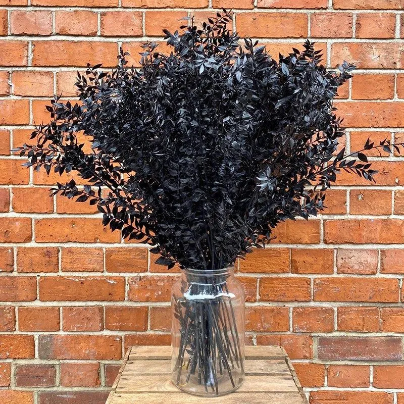 Dried Ruscus Bunch (Black) - Set Of Three media 5