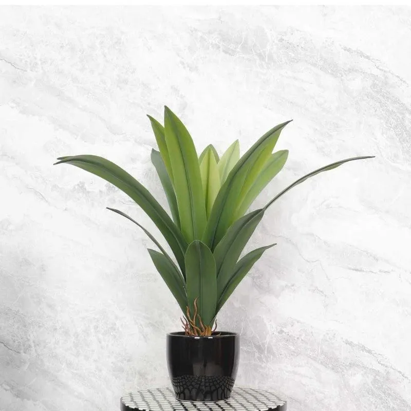 Real Touch Plant Without Pot - 1.6 Feet media 4