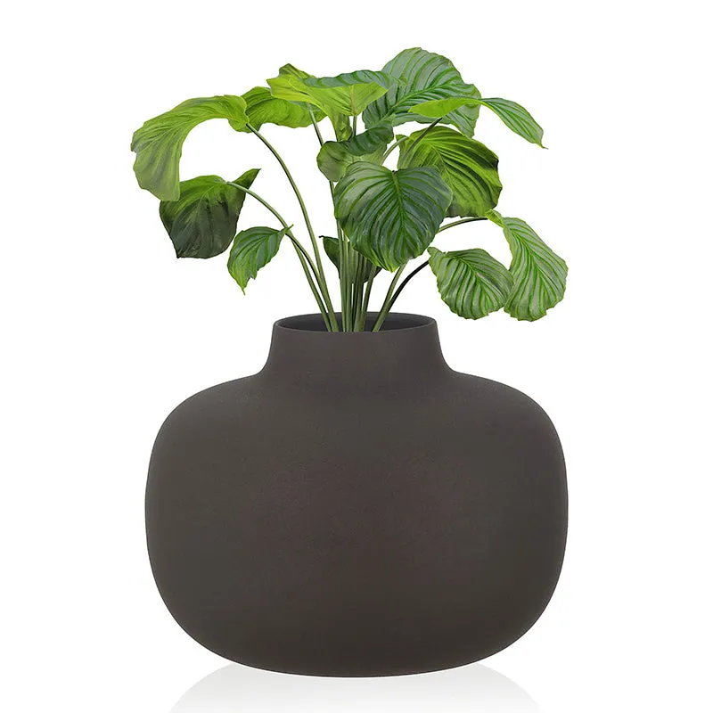 Black bowl-shaped vase with broad green leaves against a white background