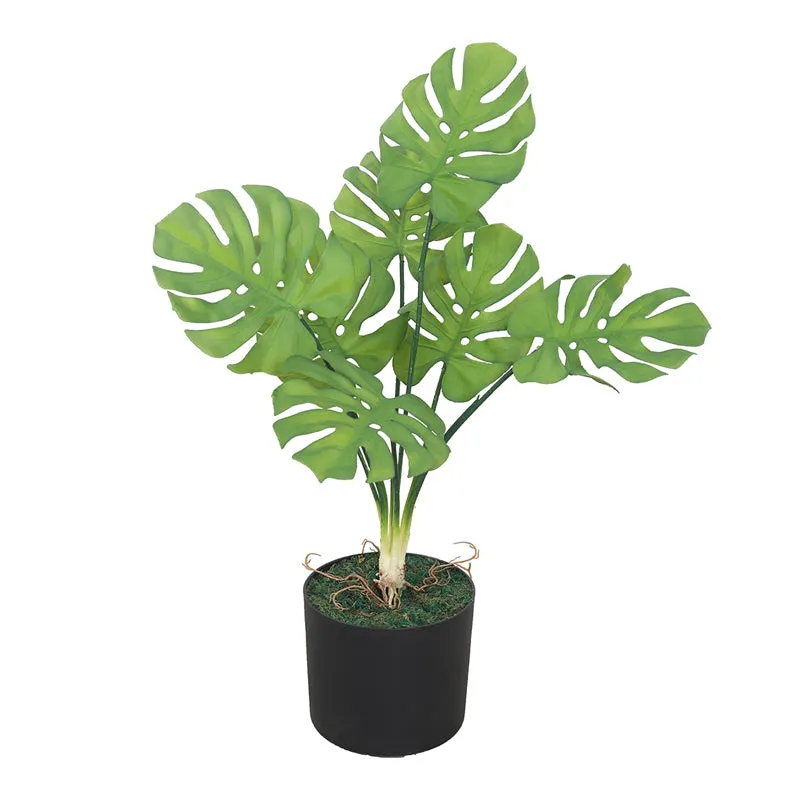Botanic Whisper Artificial Plant With Black Plastic Pot media 3