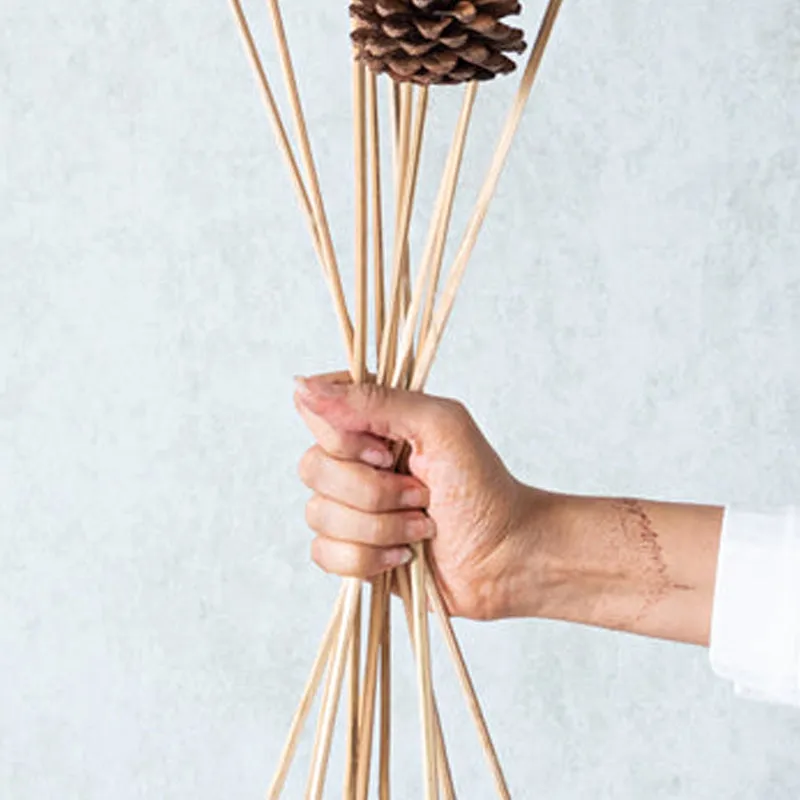 Enoira Dried Pine Cone Stick (Brown) -Set Of Ten media 5
