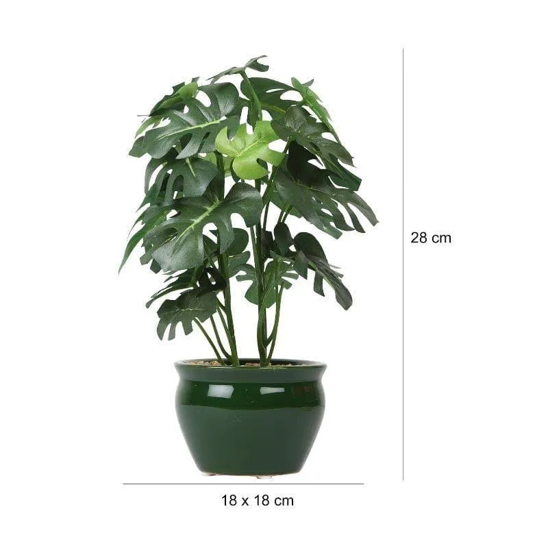 Faux Philodendron Bonsai In Ceramic Pot (28 cms) - Small media 4