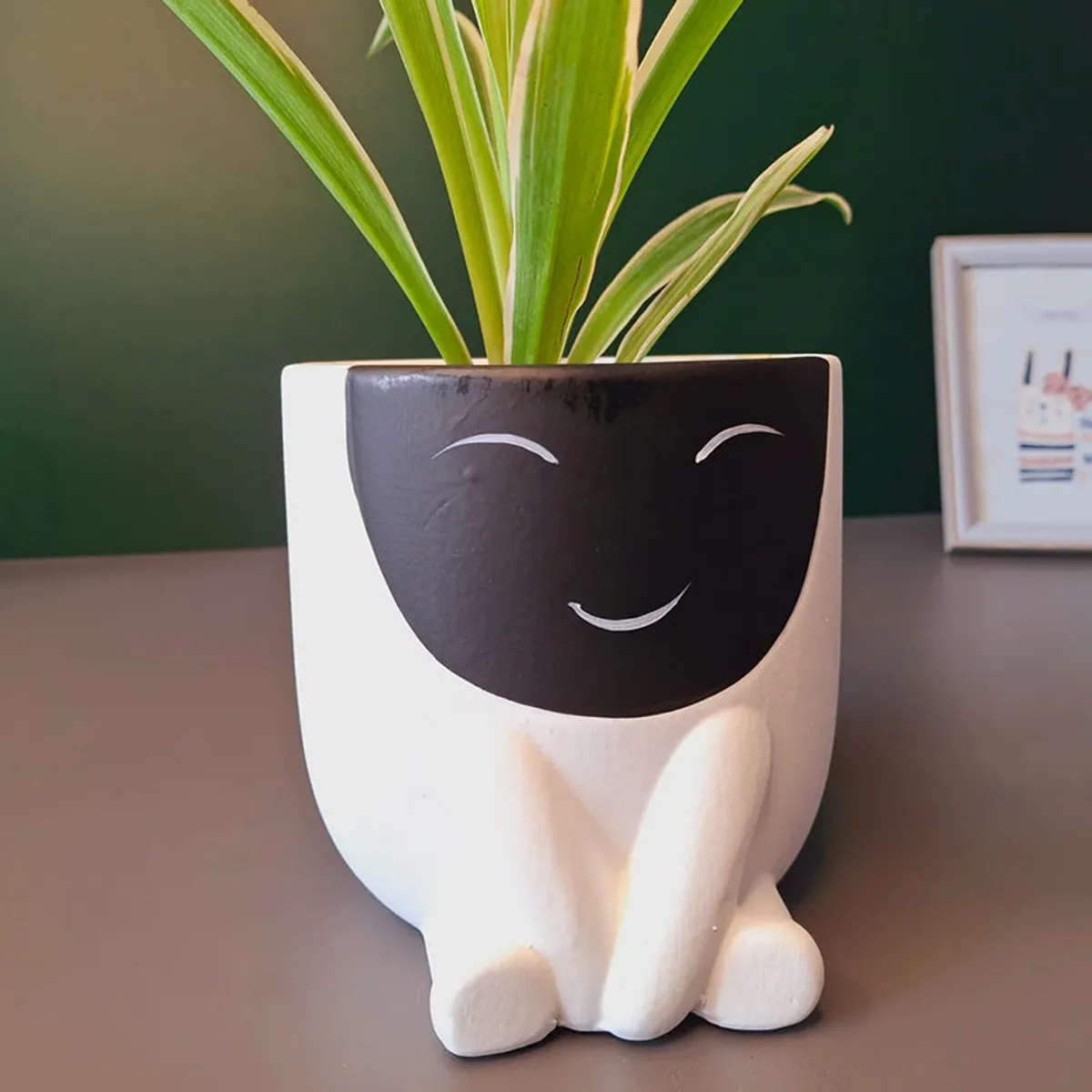 White face planter with black smiling front, shown with green plant leaves
