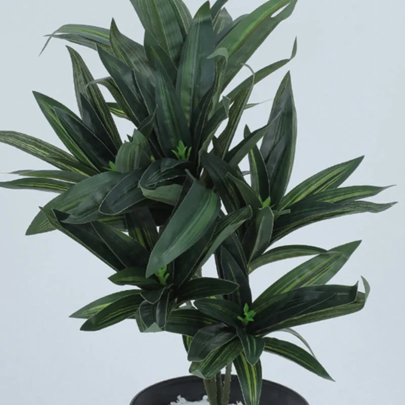 Edena Artificial Dracaena Plant With Black Plastic Pot - 1.3 Feet media 4
